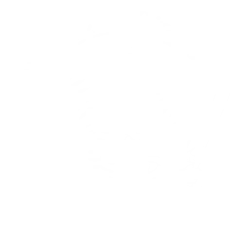 No Basic Pitches Logo
